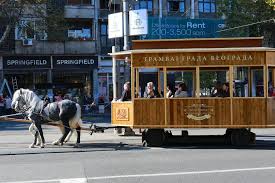 Read more about the article Trolejbusi kroz brojke